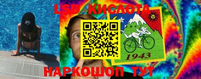 a pvp Новозыбков