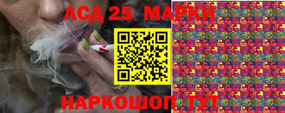 гидропоника Канаш