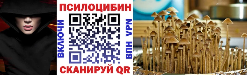 Псилоцибиновые грибы GOLDEN TEACHER Усть-Джегута