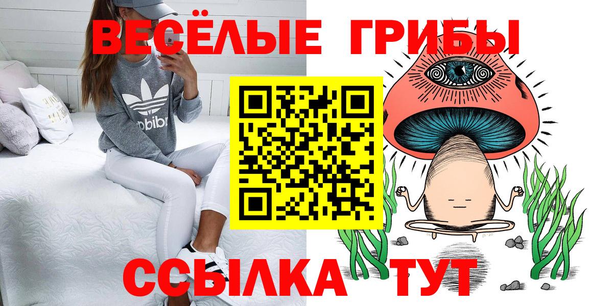 Псилоцибиновые грибы Psilocybe  Псилоцибиновые грибы GOLDEN TEACHER  Вход с VPN  Усть-Джегута 
