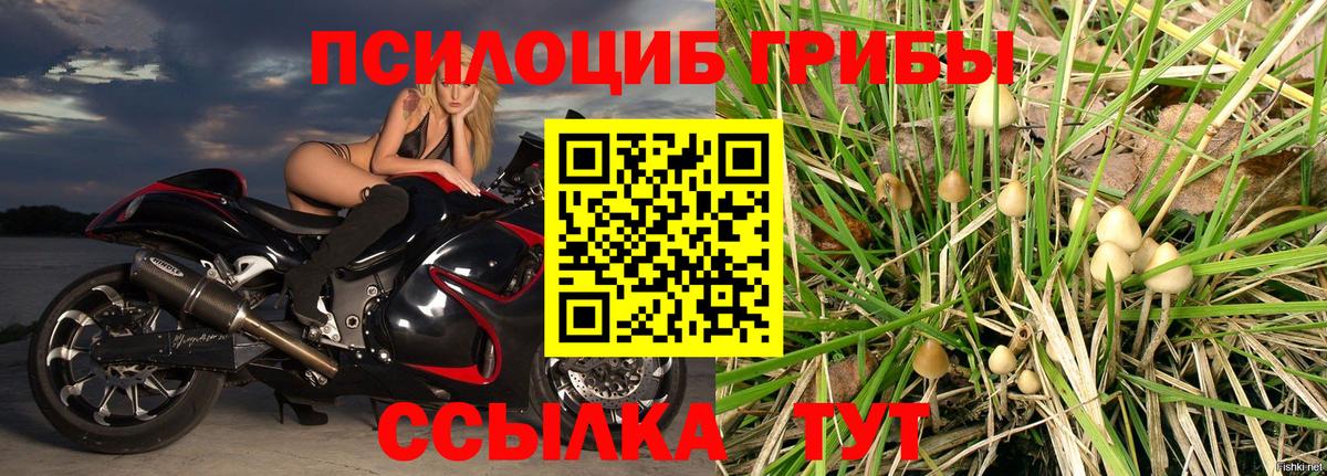 Канабис  ГАШ  COCAIN  Вход с VPN  NBOMe  Усть-Джегута  МЕФ   Бошки Шишки 