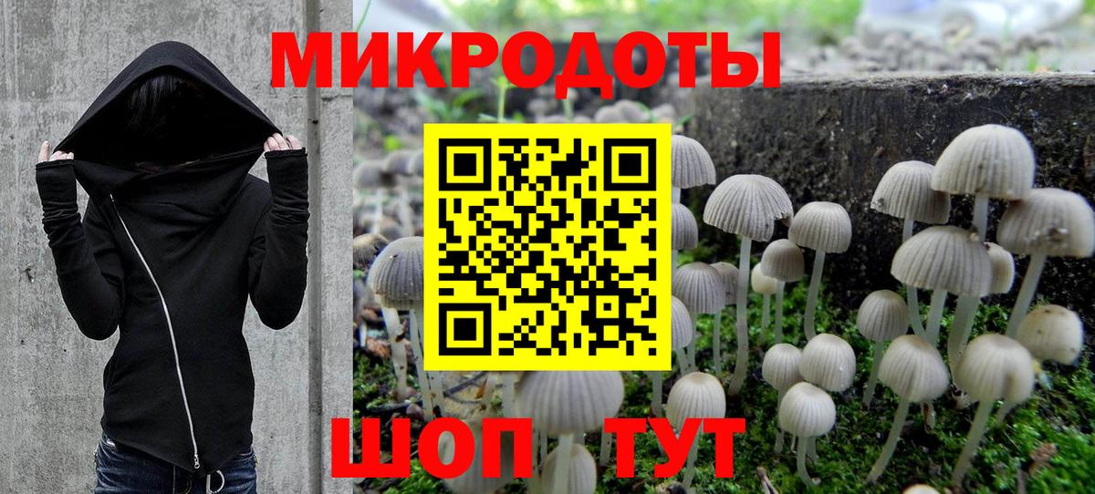 Галлюциногенные грибы Psilocybine cubensis Усть-Джегута