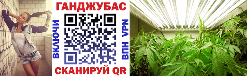 Шишки марихуана семена  сколько стоит  Усть-Джегута 